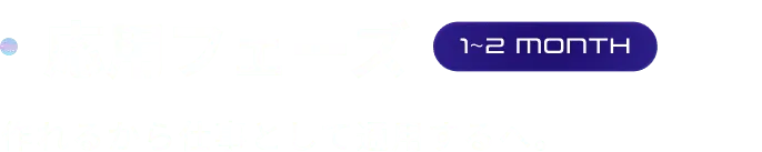 応用フェーズ